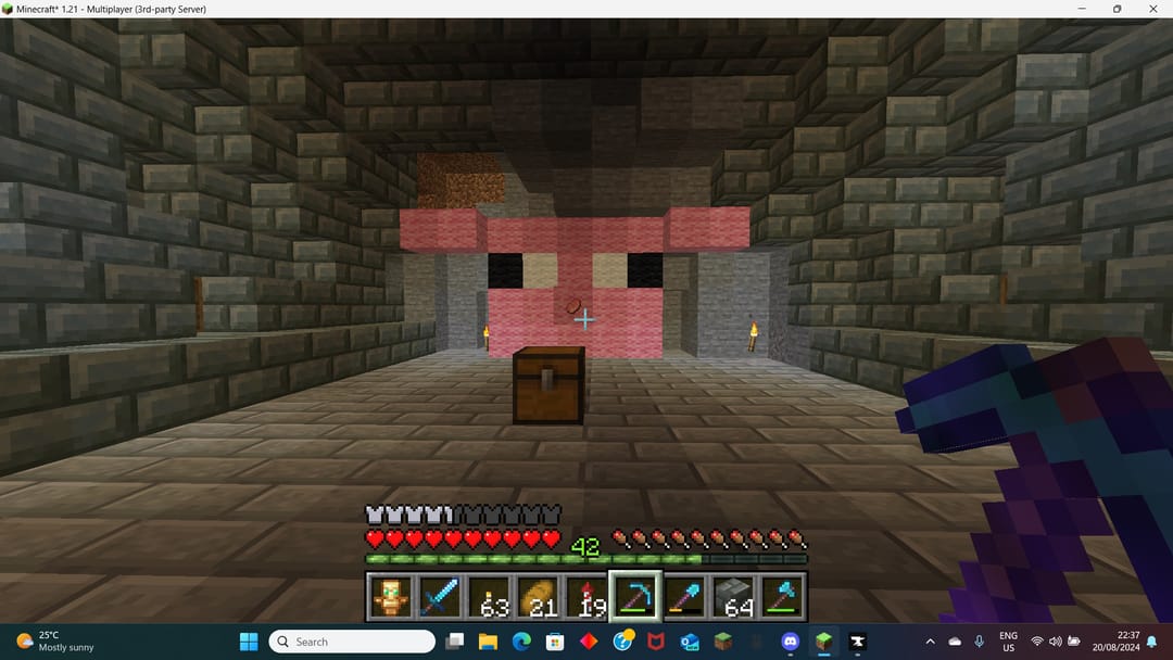 siteb minecraft server season one screenshot